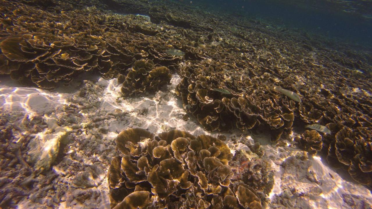 Kaafu Inn Guraidhoo Eksteriør bilde