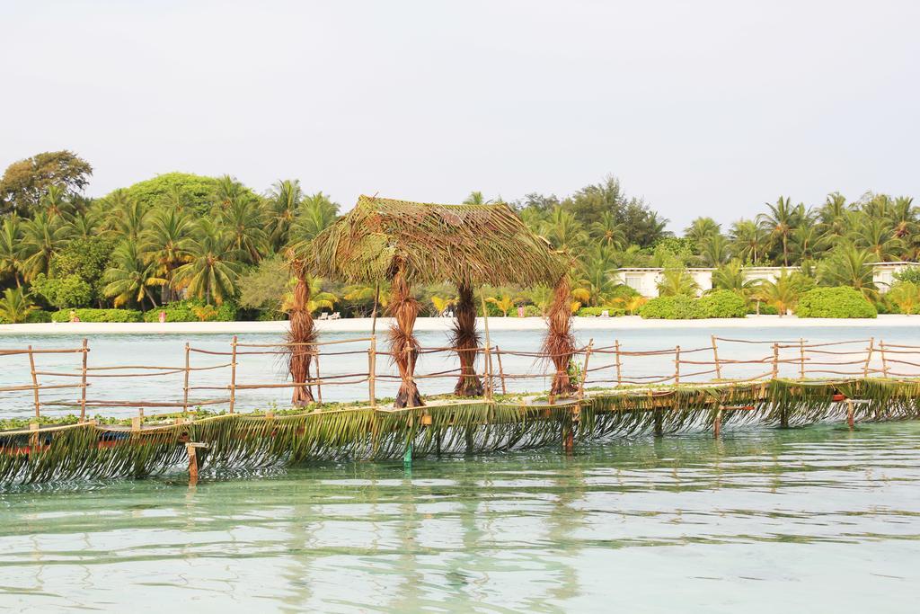Kaafu Inn Guraidhoo Eksteriør bilde